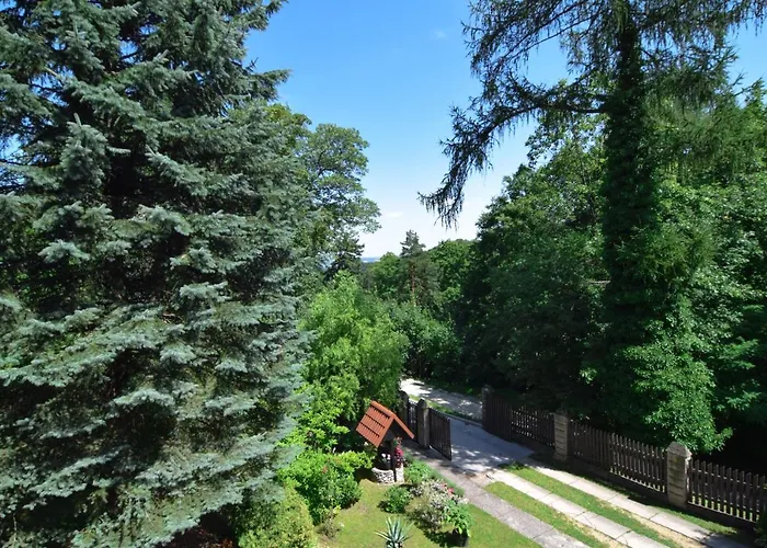 Staszica16