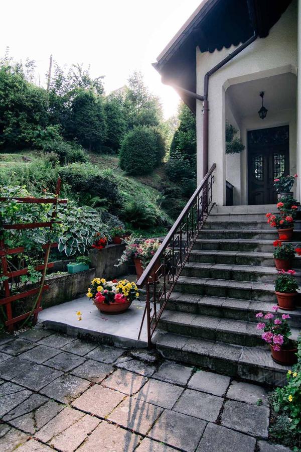 Staszica16 Homestay *