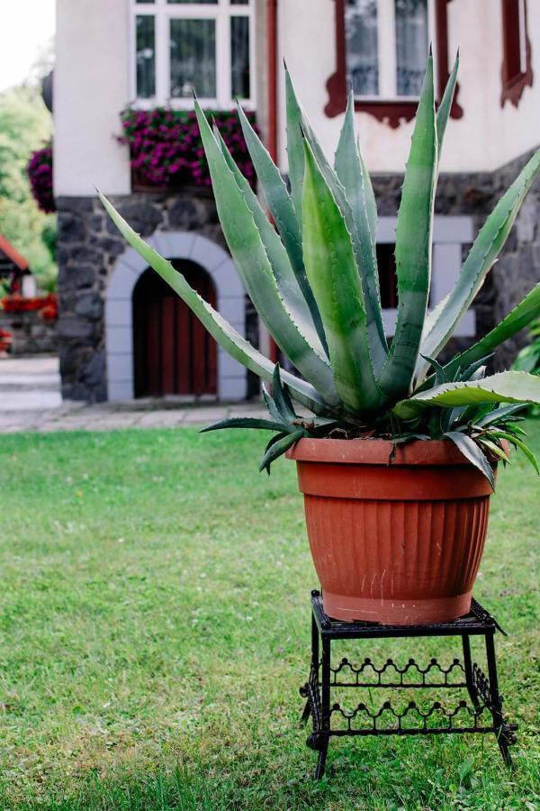 Homestay Staszica16 Zloty Stok
